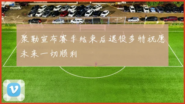 聚勒宣布赛季结束后退役多特祝愿未来一切顺利